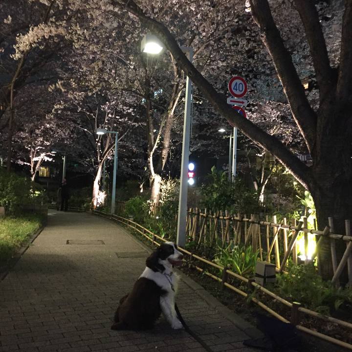 76afe357 c70a 4edb a565 11a3fda5329b