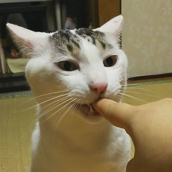 76b0c7cd 750f 4126 a147 0038ac9542b8