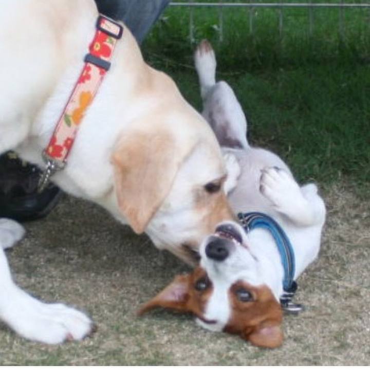 76b11c95 4d35 42ae ad5f 40d68fde0900