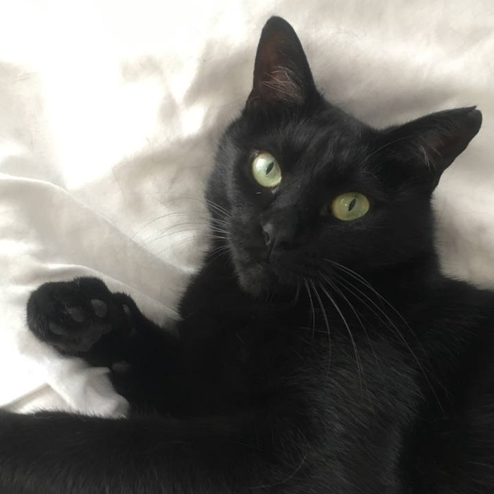 76b185f9 a18f 4593 96db 87873e48a56b