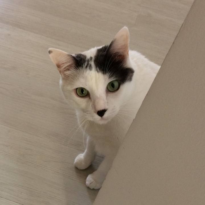 76b1f09f 1a95 40ec 9561 ff9a6493175c