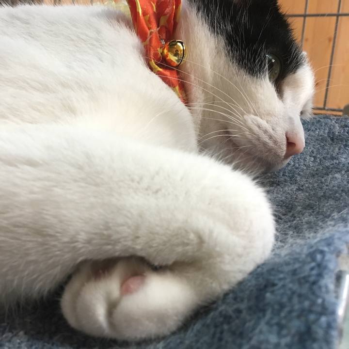 76b383e7 e237 4a19 aa87 4b98f529a010