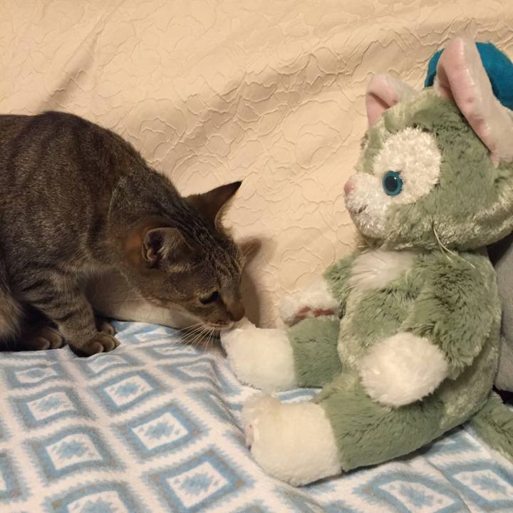 76b4372f 22f4 4b6b 8fd7 897eb3afc6df