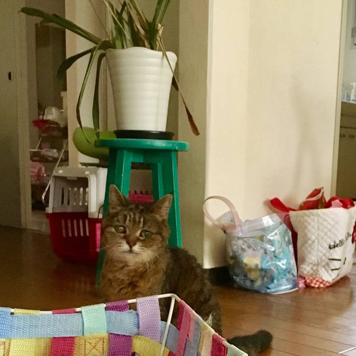 76b4f0c2 ce79 49ec a2b3 a550ec43af04