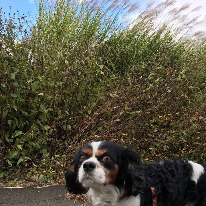 76b5727d b403 47f3 acab c9e552d67d39