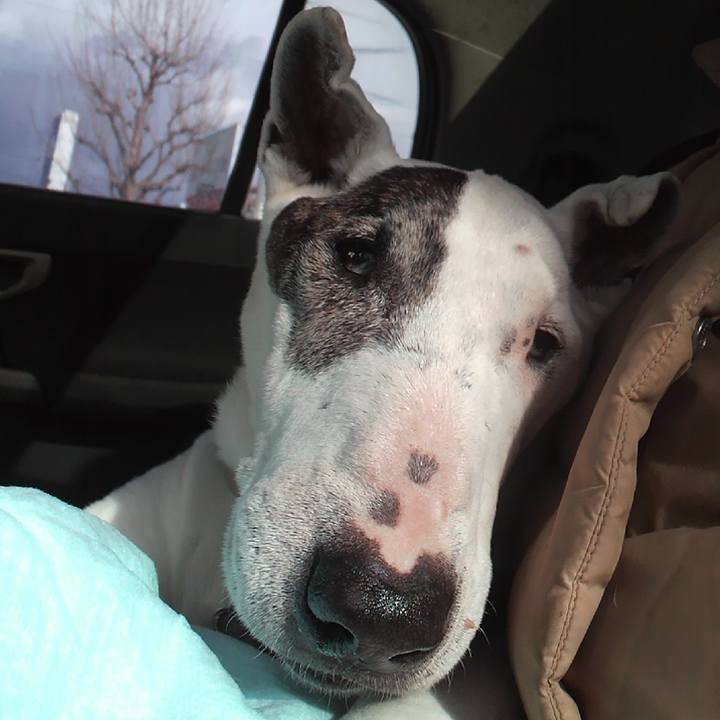 76b57b5e c455 4315 ae65 6046a036d499