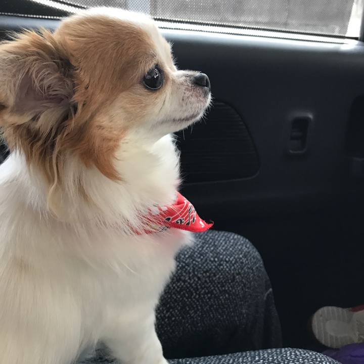 76b5e725 7464 4601 a172 bf4b49e7b780