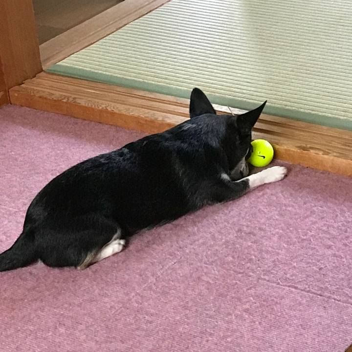 76b6cb64 01d9 4c10 bffa 25edfea65724