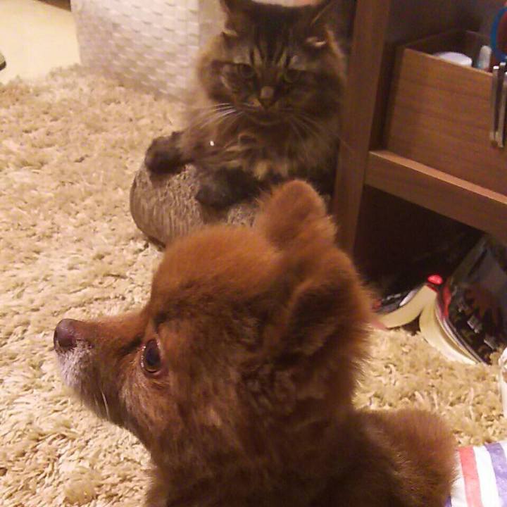 76b6cc61 e7bc 410c ba17 6e058568736f