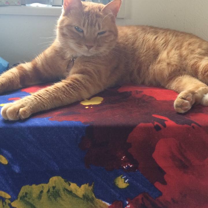 76b6e0e0 b3b3 4f96 ba9e 38e2ea1a719d