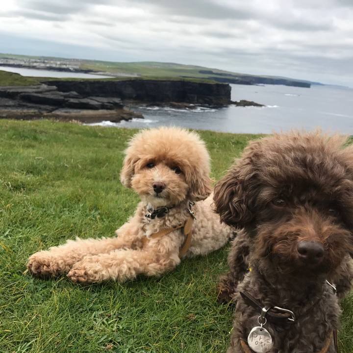 76b756f4 8877 4838 88f0 c108dda88a6d