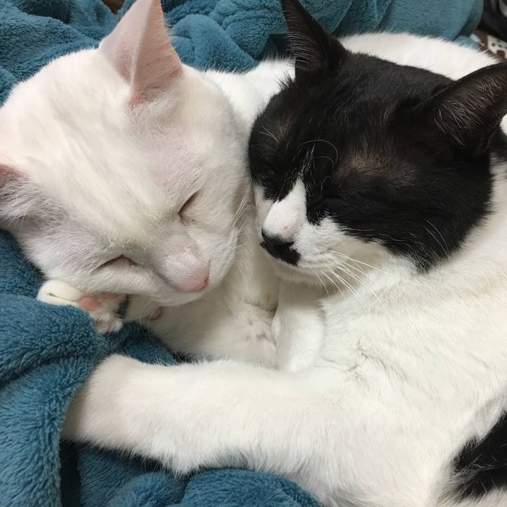 76b7aff3 03f0 4460 93ec 981859086c62