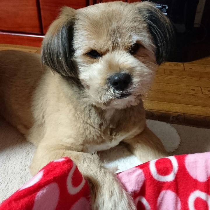 76b7e617 2826 4f5f a6c2 6fc73a05ee25