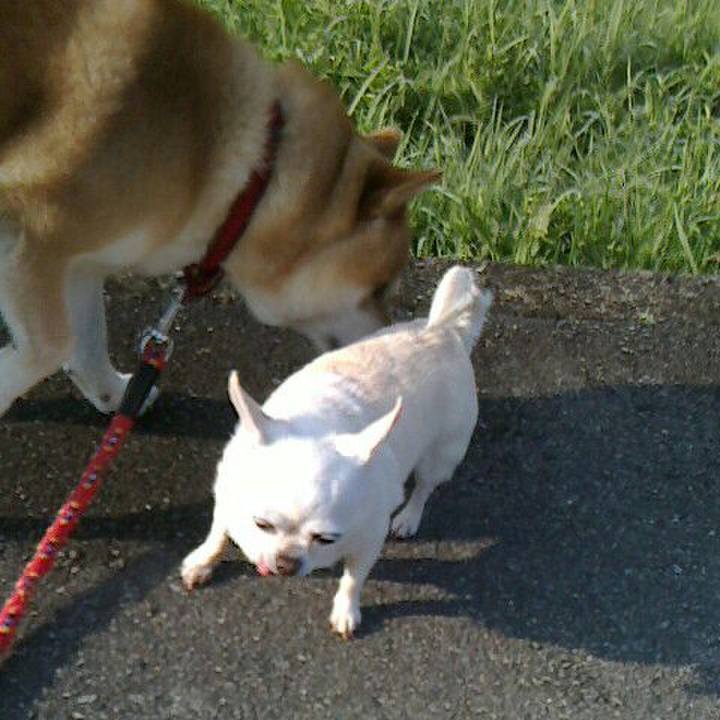 76b85285 2a6b 47b1 9932 4eab5dd3937b