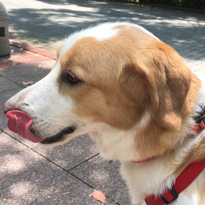 76b88082 a647 488f 89c3 a4b9fe7ce121