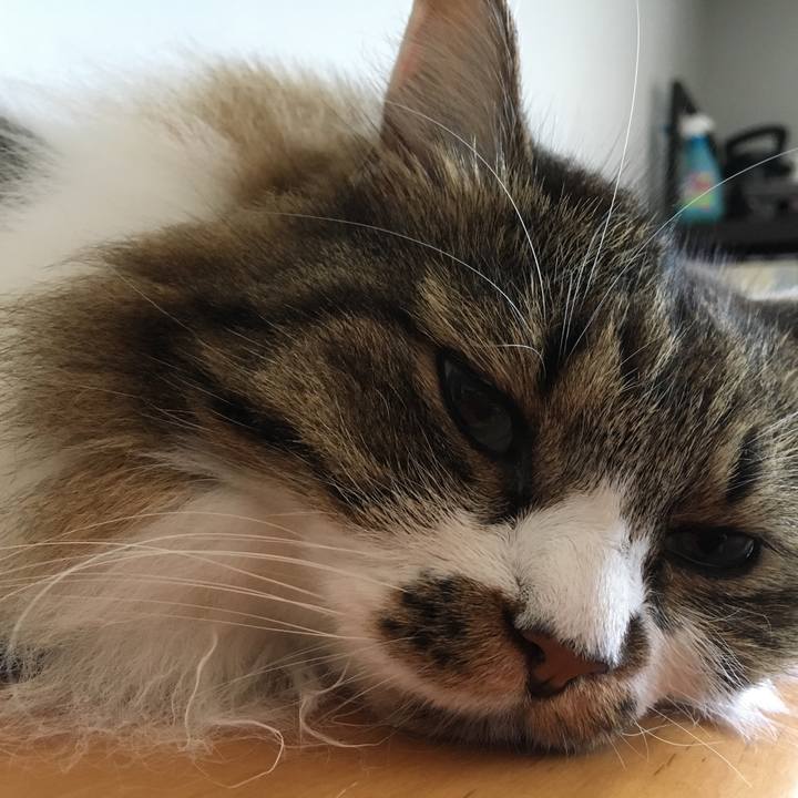 76b88421 2240 4387 b591 39c25e5f34f2