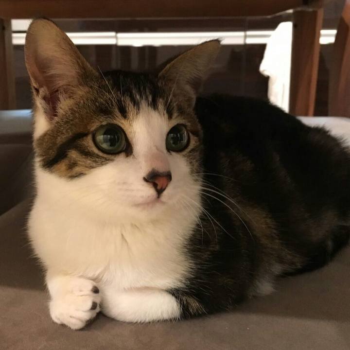 76b8e6bf 4460 4913 b399 5e0e6d85ddb2