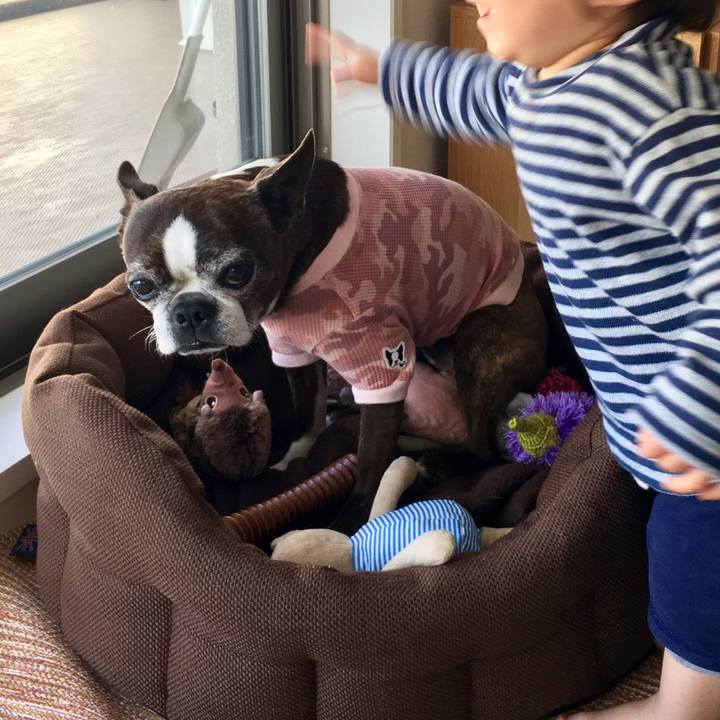 76b96211 25e5 4fda b5bf a66a994d2ddd