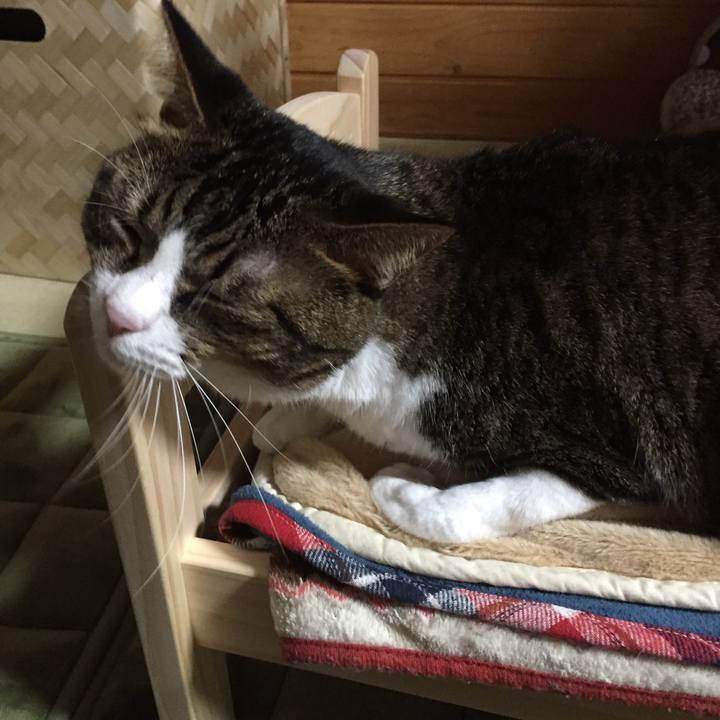 76b99097 97e6 407a 8539 15d16b876eab