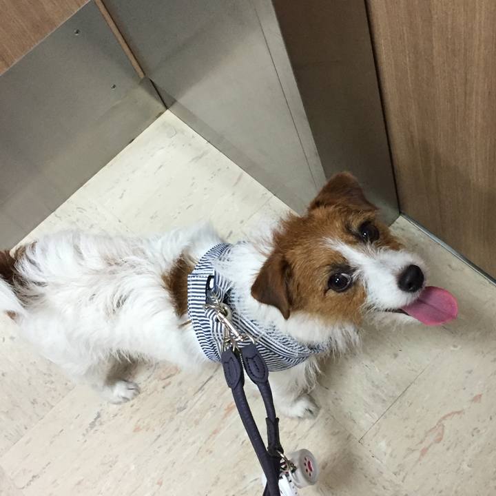 76b9db14 0b0c 4995 bf7f d212cc0c43d7