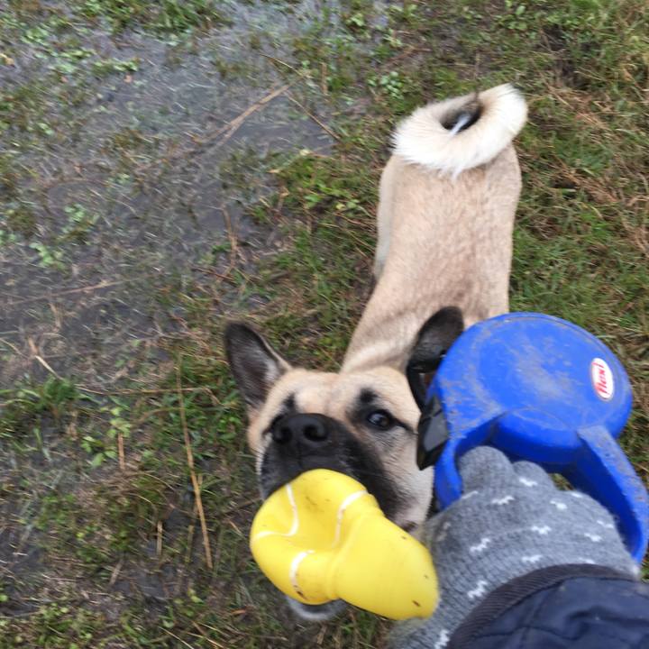 76b9ee40 e97e 4598 93d8 58494394a5da