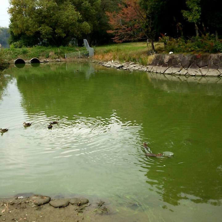 76ba0348 3de7 439c 9929 997ff55b2f3c