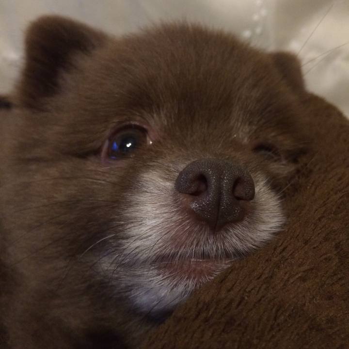 76ba78d2 3f5d 4cef 8b6a dbee2e3aceae