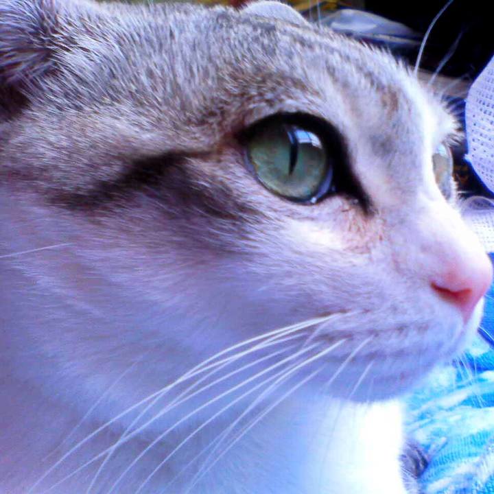 76ba9168 0c2f 45a3 99bf 3edd2c8399e1