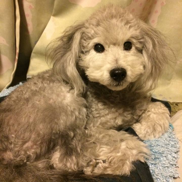 76bb6ba2 b249 4c31 a9fe d98986927225