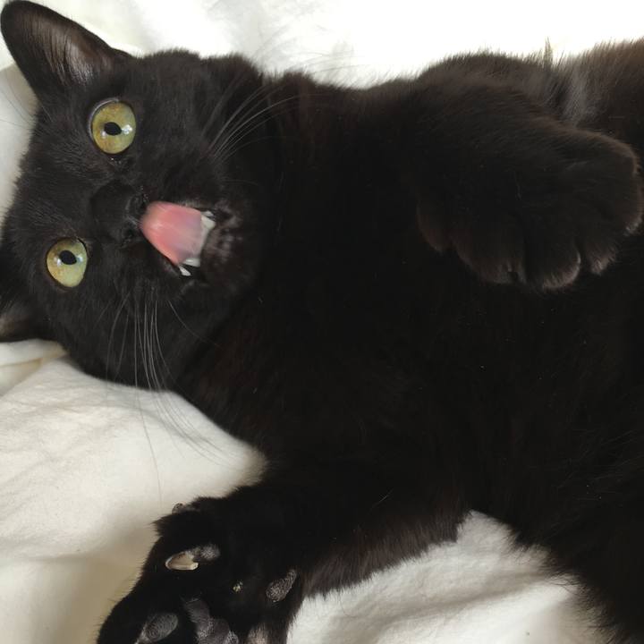 76bbbd70 4193 470f 9aa4 d526bb362a8b