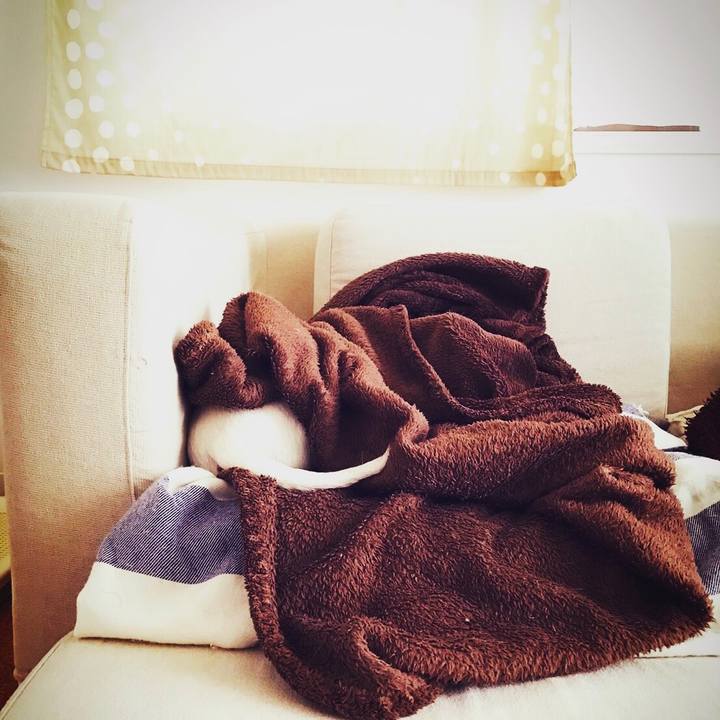 76bc3831 3c1e 47fd 8702 7aee753419d4