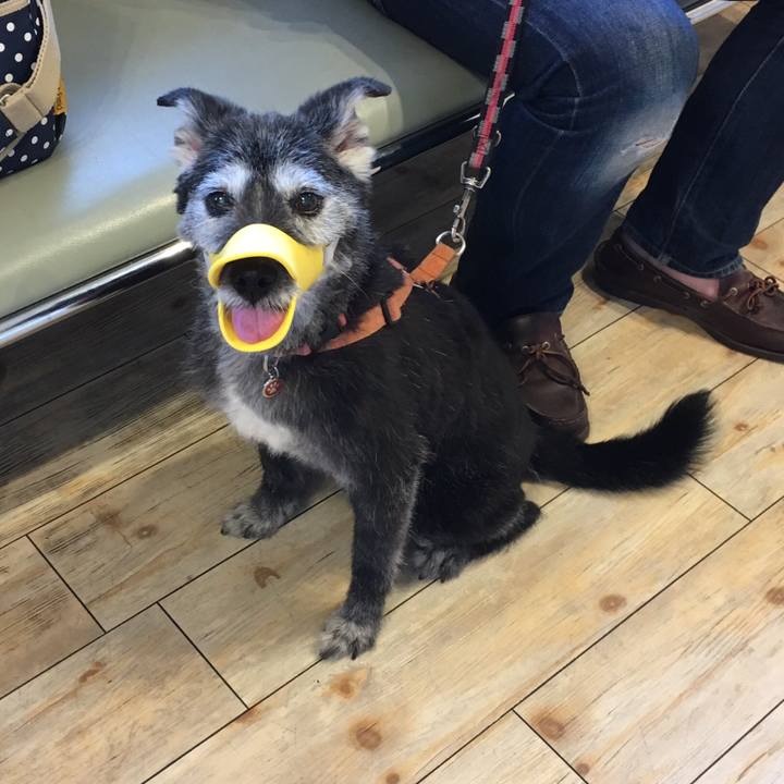 76bc5184 23bd 4c9f 9214 3d58a6ae2153