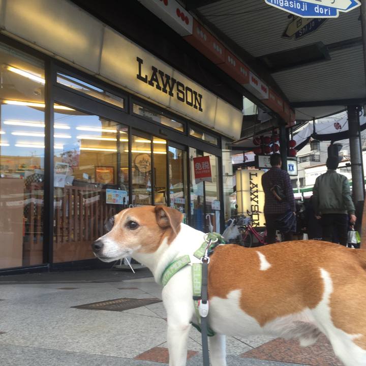 76bc7691 631d 4fc0 8298 3ddce109f9fe