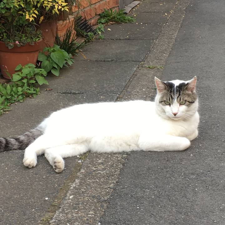 76bc9207 3240 4650 ab34 39edd7a23a6a