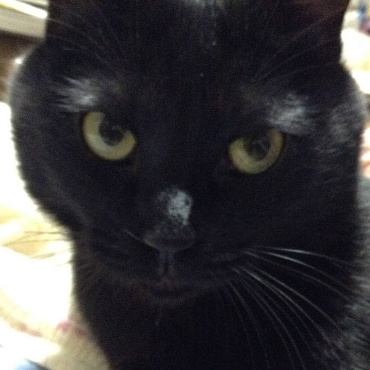 76bca072 84f2 4ff9 bdd0 e4e7e58a7d26