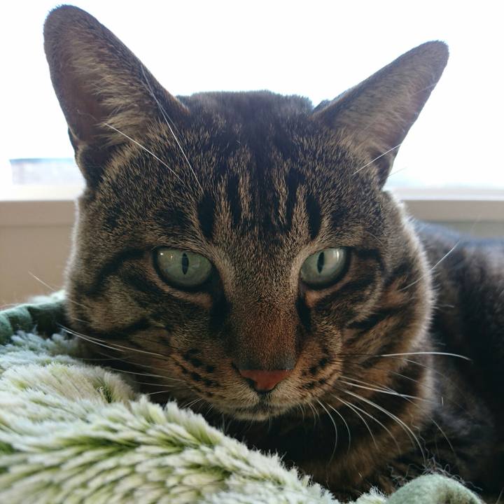 76bd9b01 2b31 4969 b78c 24310af07aa1