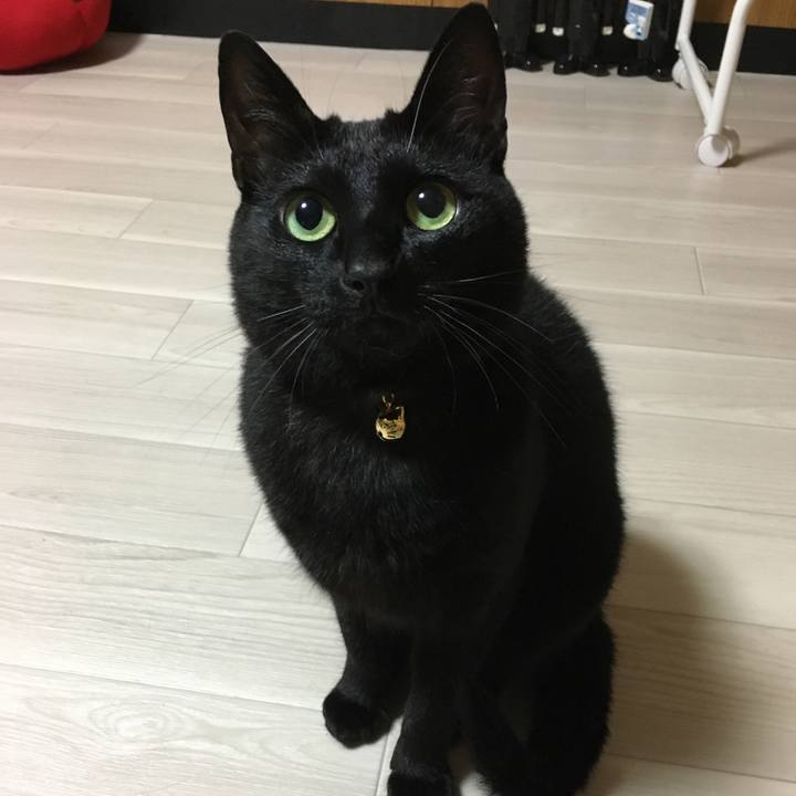 76be1857 99a0 48a8 b405 07b7e2463b44