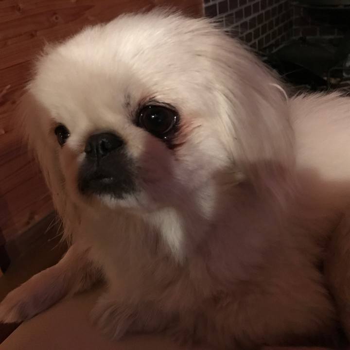 76be233c 7c0f 4a22 90a4 f4c10b45458b