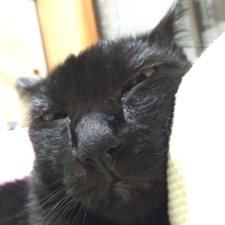 76be56b7 40ef 4179 9c91 cf49bbaf48f8