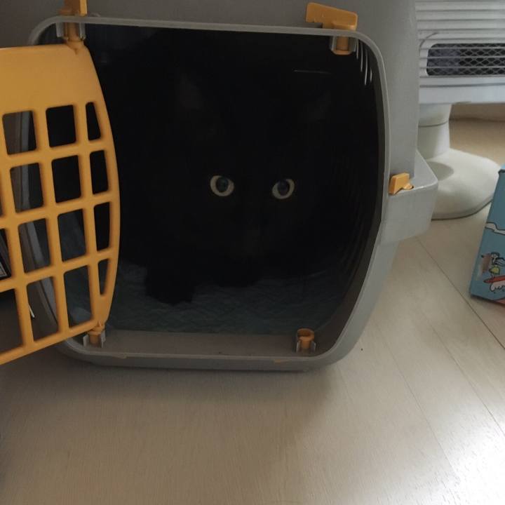 76be86f4 f944 4d03 a835 22bd729c1e03