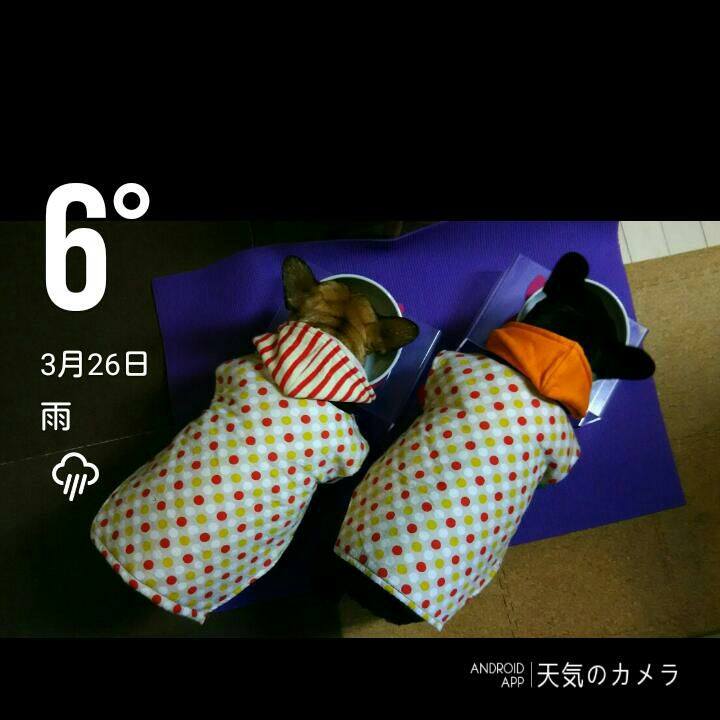 76bec488 de0c 4ae2 8de7 0d51db032e58