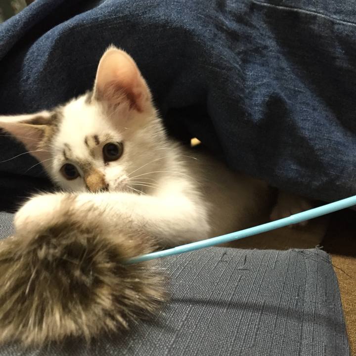 76c00ebf aae3 4eb1 80c3 a33d83b0aa26