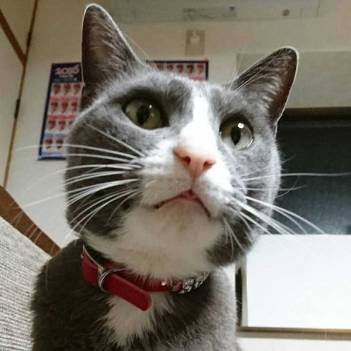 76c07634 d332 4544 9575 f225d3421d1b