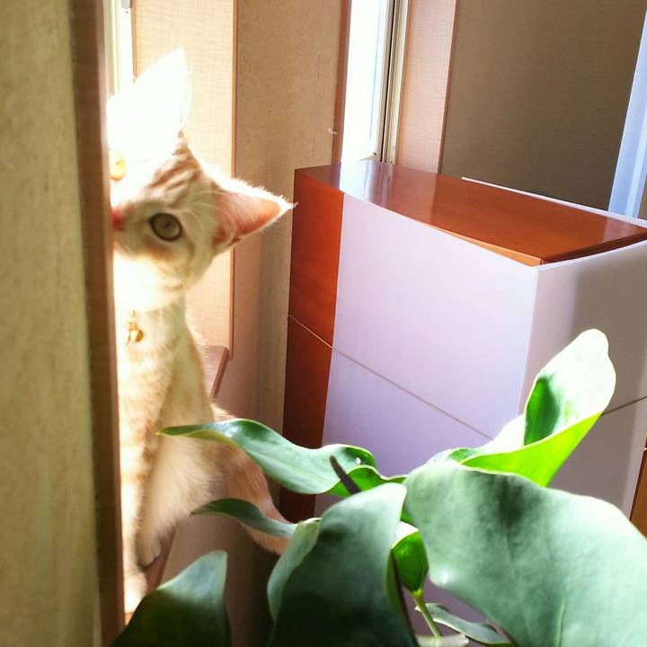 76c07ba3 1016 4ed1 9caf ca51b053cf97