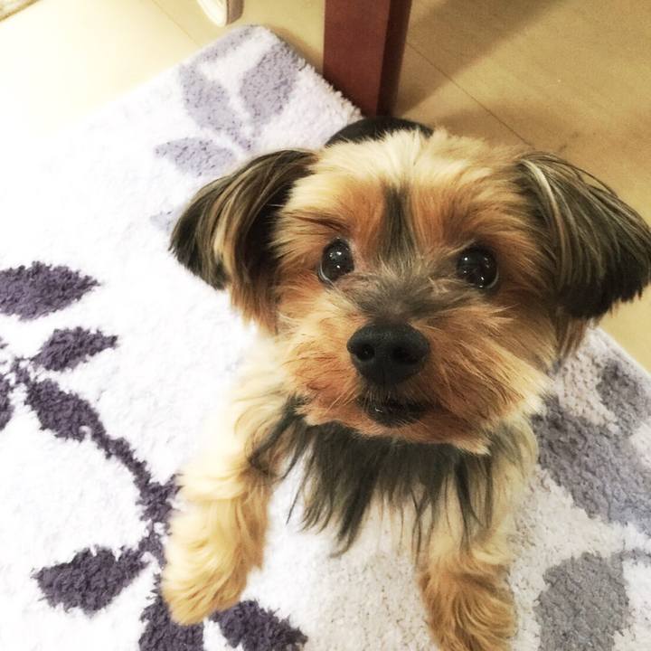 76c0af56 185c 4a09 b651 b71c1d76c58a