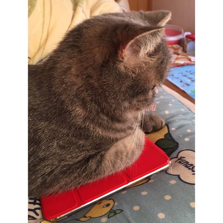 76c0d5d9 a947 4966 8468 d8d36bde08d2