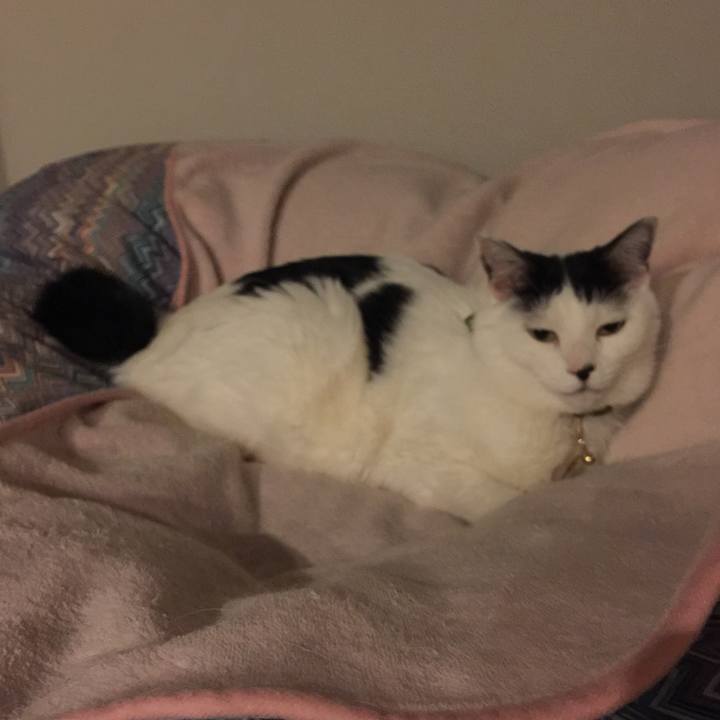 76c19dde 90fe 4f21 b294 f6fff8952481