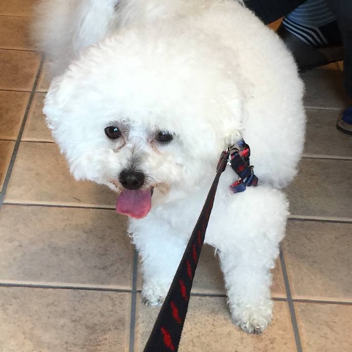 76c1ac51 6c4b 4acb 8993 7b420680d90f