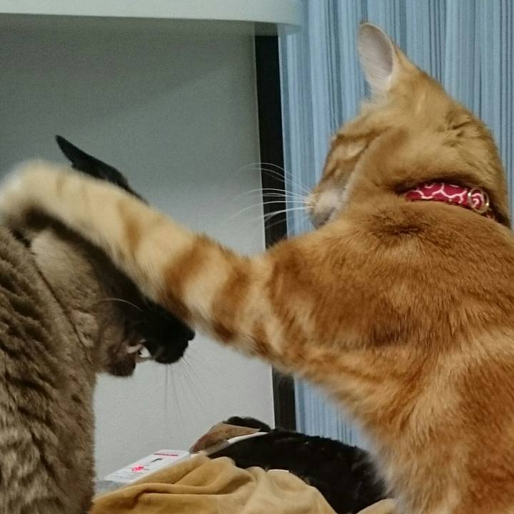 76c1c6e3 3ae3 4f1f b370 9b54d45f11e3