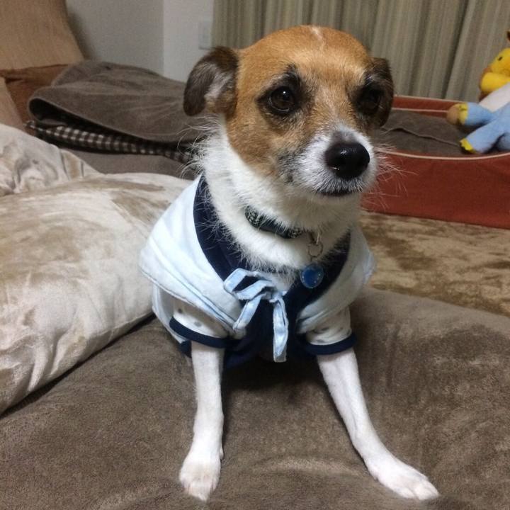 76c20909 b4c5 4079 9abb 0958332f3cf9